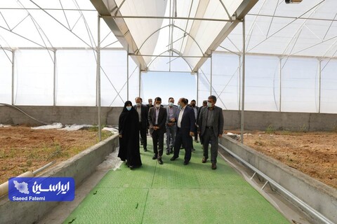 بازدید مدیرعامل شرکت فولاد مبارکه و هیات همراه از محل اجرای طرح ملی خودکفایی بذر کشور و دانشگاه آزاد اسلامی واحد شهر مجلسی