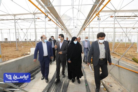 بازدید مدیرعامل شرکت فولاد مبارکه و هیات همراه از محل اجرای طرح ملی خودکفایی بذر کشور و دانشگاه آزاد اسلامی واحد شهر مجلسی