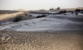 مالچ‌های نفتی به محیطزیست آسیب زد/امضای تفاهم‌نامه مهار گرد و غبار با عراق