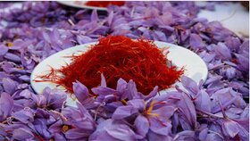 جلوگیری از قاچاق ماهانه زعفران ۱۶ میلیون دلار ارزآوری دارد