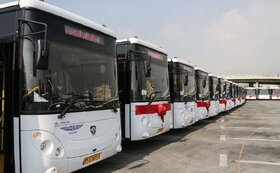 واردات ۲۰۰۰ اتوبوس بین شهری ویژه اربعین در دستورکار وزارت راه‌وشهرسازی