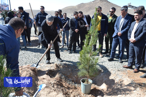 توکا فولاد