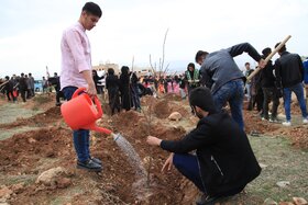 ۲۴ تفاهم‌نامه برای کاشت نهال در اصفهان منعقد شد