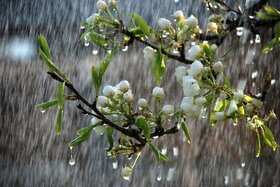 گزارش هواشناسی ۳۱ فروردین ۱۴۰۲/ افزایش بارش‌های بهاری در برخی نقاط کشور