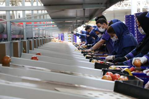 ۵ طرح اشتغال خُرد در کاشان به بهرهبرداری رسید اشتغال