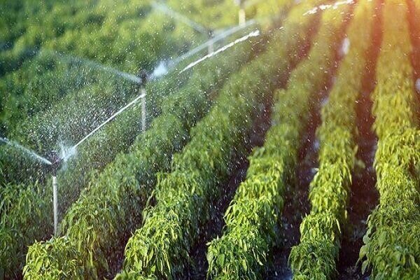 ۳ میلیون هکتار اراضی آبی کشور به سامانه نوین آبیاری تجهیز شد