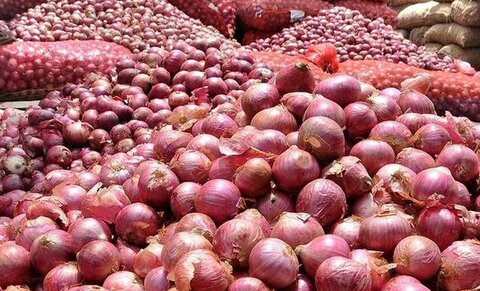 توزیع روزانه سیب زمینی و پیاز به ۱۵۰۰ تن رسید پیاز