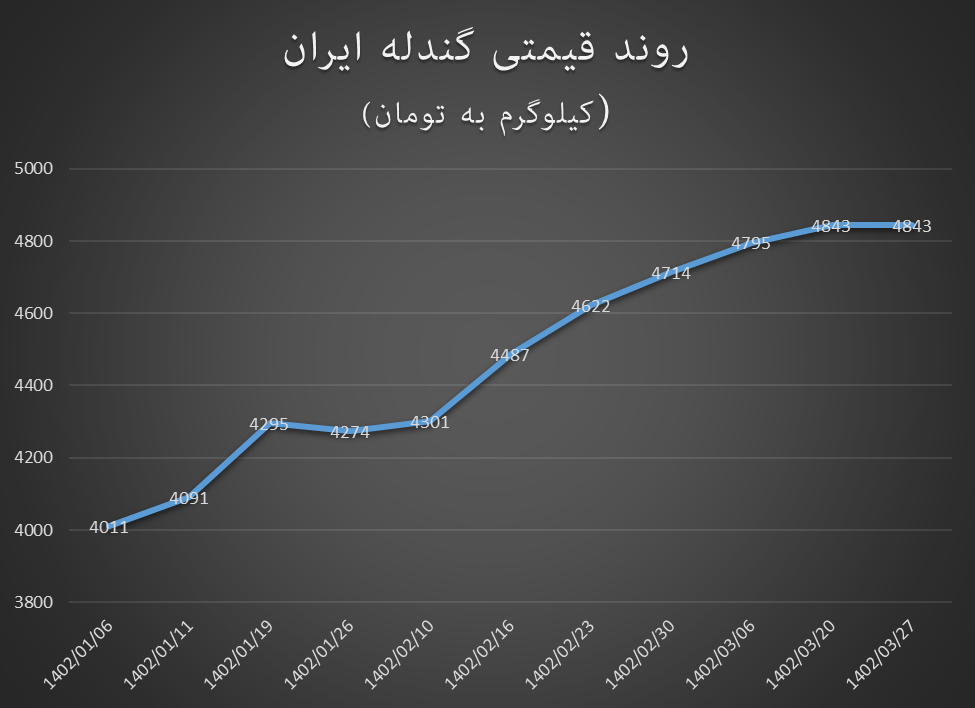 تداوم روند صعودی قیمت گندله در ایران و جهان