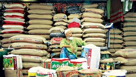 قیمت جهانی برنج سقف ۱۱ ساله را شکست