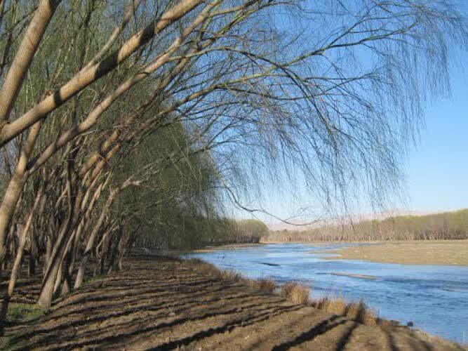 رهاسازی محدود آب در زاینده‌رود برای نجات درختان ناژوان