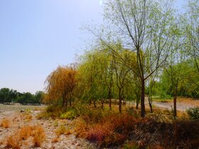 وضعیت تامین آب برای ناژوان و فضای سبزِ اصفهان بسیار اسفناک است