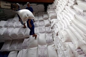 دومینوی افزایش قیمت جهانی برنج به ایران نرسید