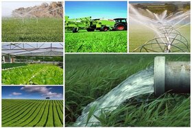 ایران ظرفیت تبدیل به مرجعیت علمی کشاورزی منطقه را دارد
