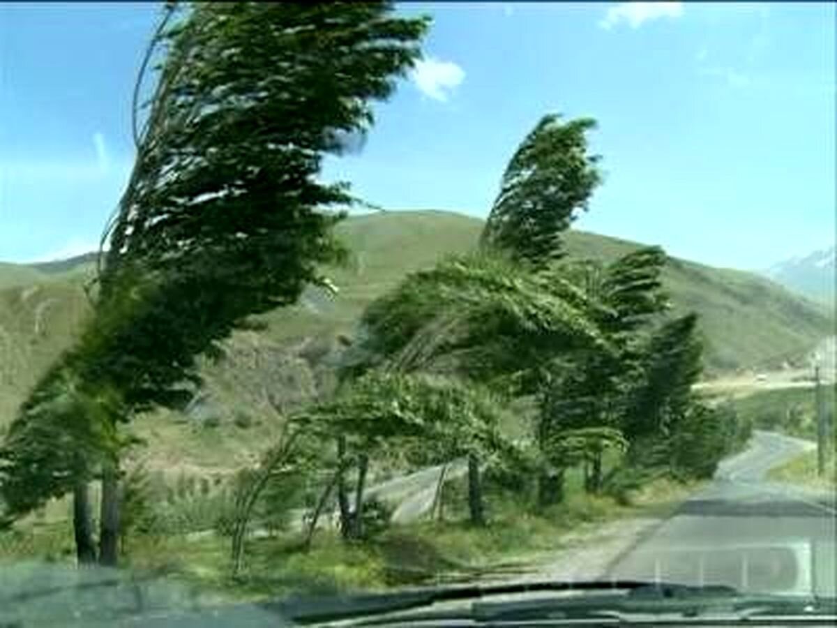 شدت وزش باد در برخی از مناطق استان