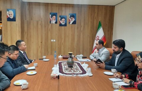 شرکتهای چینی بهدنبال توسعه فعالیت در معادن کرمان ایران و چین