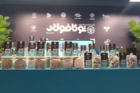 بازدید روز دوم