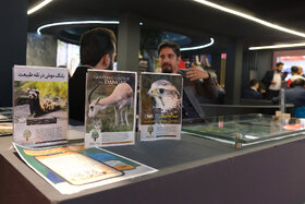 بازدید روز دوم