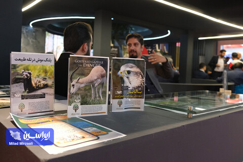 بازدید روز دوم