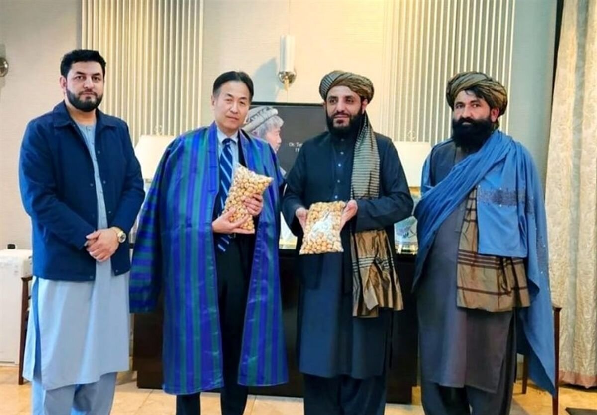 کابل در پی جذب سرمایه‌گذاری ژاپن در بخش معدن افغانستان