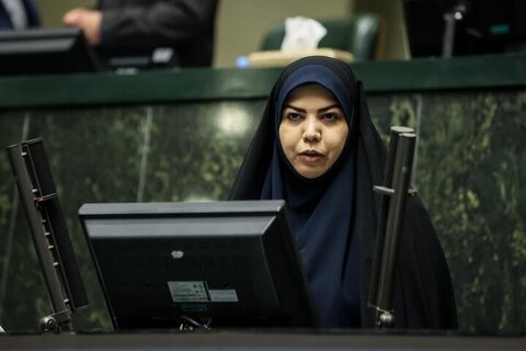 وزارت اقتصاد به دنبال ایجاد ناصرخسرو آنلاین است زهرا شیخی