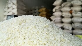 تولید ۲.۵ میلیون تن برنج سفید در کشور