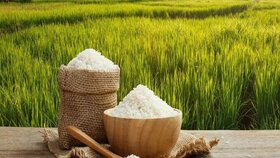 قیمت برنج ایرانی در دی ماه امسال کاهش داشته است