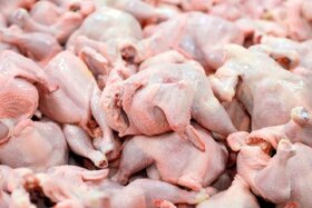 سهم ۹۷ درصدی مرغ از عرضه گوشت طیور در دی‌ماه ۱۴۰۲