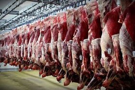 سهم ۵۴ درصدی گوشت گاو و گوساله از عرضه گوشت قرمز