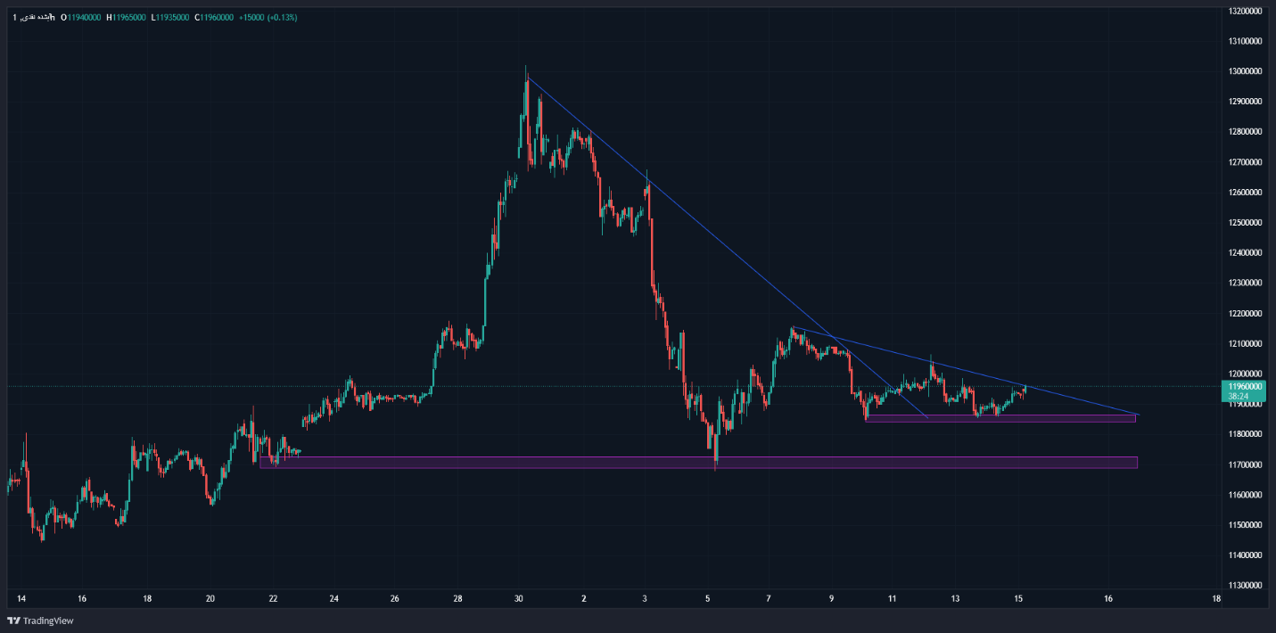هیجانات بازار طلا فروکش کرد