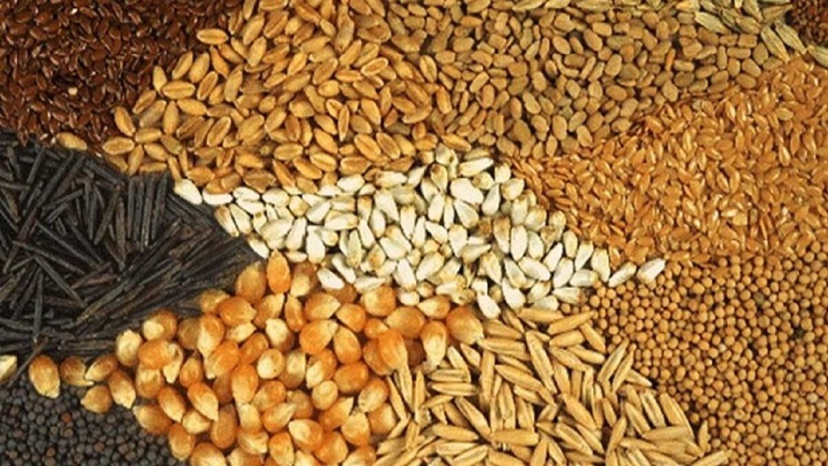 ذخایر راهبردی با تولید داخل تکمیل می‌شود