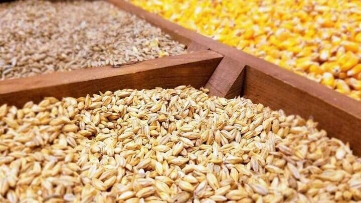 قیمت انواع نهاده‌های دامی و محصولات کشاورزی ۱۰ اسفند ۱۴۰۲