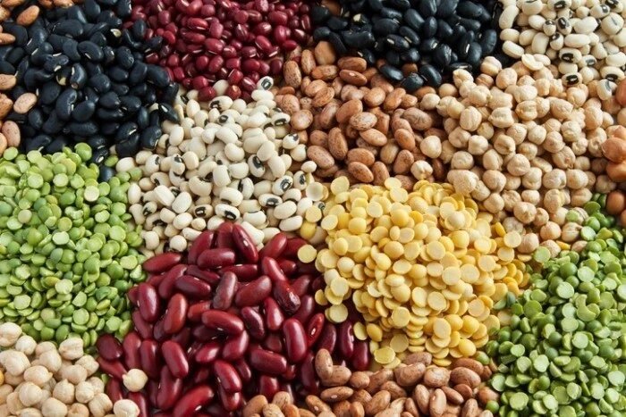 صادرات ۹۱ هزار تن حبوبات/ قیمت حبوبات در نیمه دوم سال کاهش می‌یابد