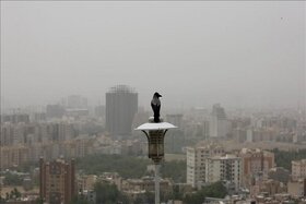شاخص کیفی هوای اصفهان ناسالم است