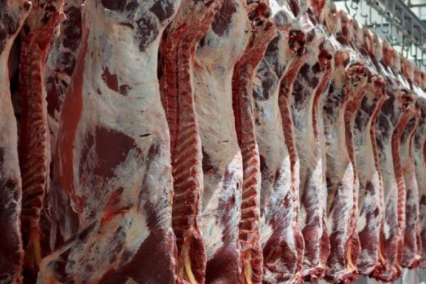مشکلات توزیع گوشت وارداتی به دلیل محدودیت در عرضه