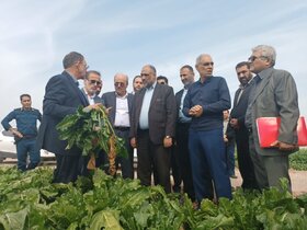 وزیر جهاد کشاورزی از طرح‌های کشاورزی دزفول بازدید کرد