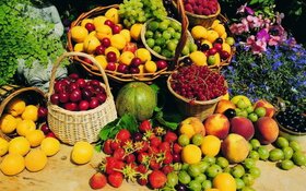 ۲۳ درصد رشد صادرات محصولات غذایی و کشاورزی