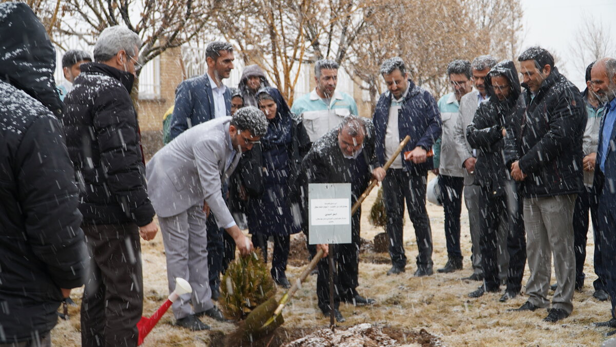 مشارکت شرکت ورقخودرو در کاشت ۲۰ هزار اصله نهال و ایجاد ۴۰ هزار هکتار جنگل