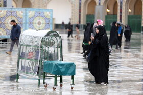 بارش باران در حرم مطهر رضوی