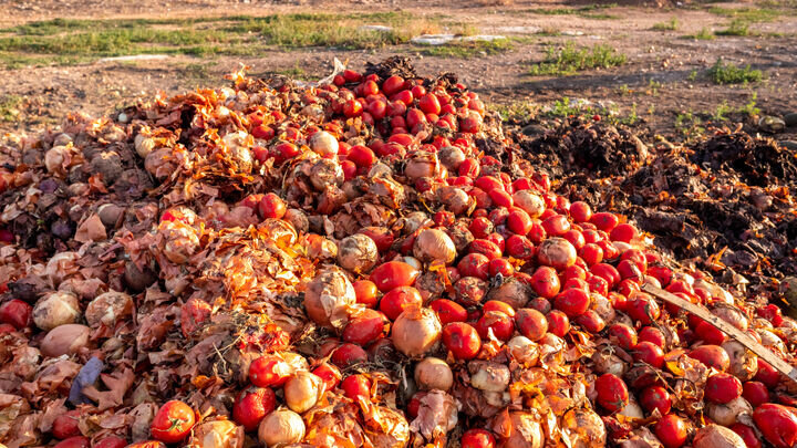 تحقق رشد ۲ برابری صادرات با کاهش ضایعات محصولات کشاورزی