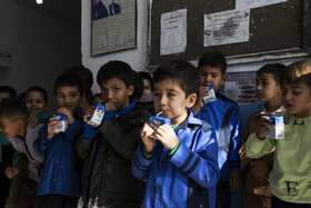 توزیع ۱۵ نوبت شیر تا اردیبهشت در مدارس کشور