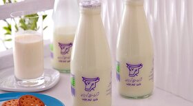صادرات ۱.۵ میلیون تن شیرخام به بازارهای هدف