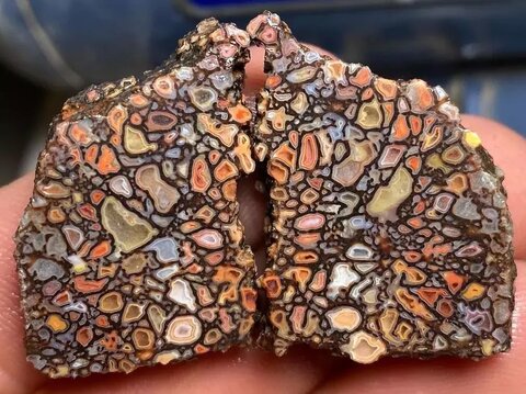 سنگ عقیق در میان استخوان دایناسور عقیق استخوان دایناسور