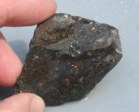 اوپال ماتریس هندوراس اوپال هندوراسی