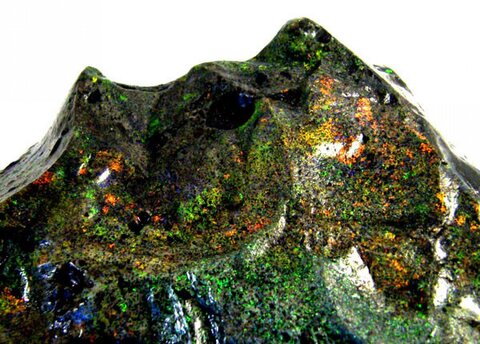 زیبایی بهشت در میان کویر، اوپال آنداموکا اوپال آنداموکا