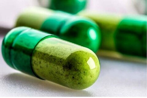 تلاش معاونت علمی برای کسب ۲۰ درصد بازار ۵ هزار میلیارد دلاری طب سنتی گیاه دارویی