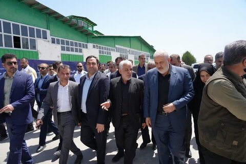 بازدید