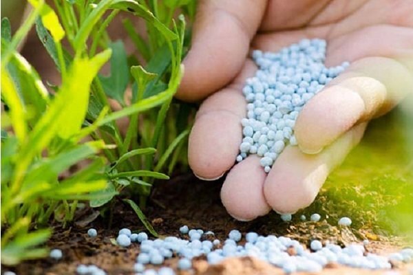آمونیاک؛ ماده حیاتی در قلب صنعت کود و معدن