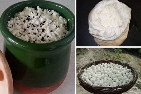 محصولات لبنی