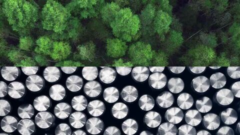 جدیدترین برنامههای چین برای دستیابی به فولاد سبز  فولاد سبز