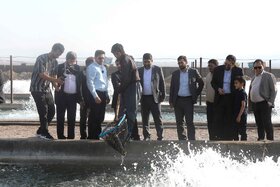 بازدید مدیرعامل فولاد مبارکه از برخی از پروژههایی مسئولیتهای اجتماعی این شرکت در منطقه پیرامونی
